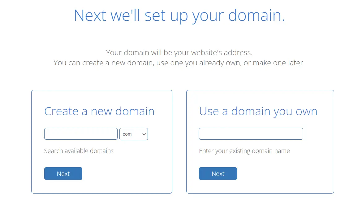 Bluehost domain name